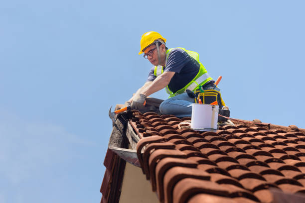 Best Roof Insulation Installation  in Lyman, WY